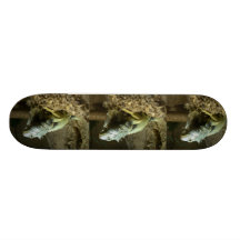 Planche à roulettes d'iguane