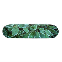 Planche à roulettes - Hosta feuillu