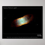 Planetary Nebula IC 4406 Hubble Telescope Photo Poster