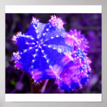 plante de l'espace posters