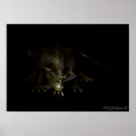 Plante grimpante 2 posters