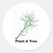 plantez un arbre adhésif rond