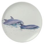 Plat de dauphins de Bottlenose Assiettes