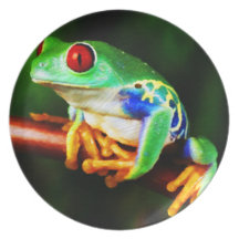 Plat de la grenouille 1 assiette