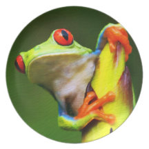 Plat de la grenouille 2 assiette