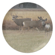 Plat de mâles et de cerfs communs de daine assiette