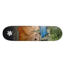 Plate-forme de saumon de l'ours n planches à roulettes customisées