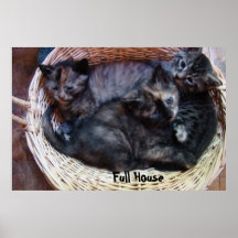 Pleine Chambre Poster