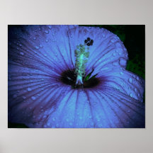 pluie bleue profonde affiche