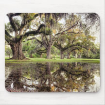 Pluie de parc d'Audubon Tapis De Souris