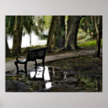 Pluie en parc posters