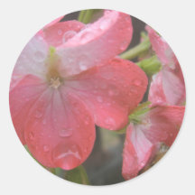 Pluie rose adhésifs ronds