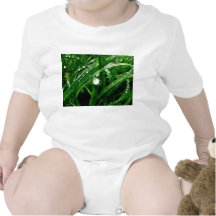 pluie t-shirts