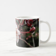 plumblossom mugs