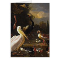 Plume de flottement cartes