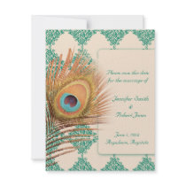 Plume de paon sur la tuile marocaine turquoise