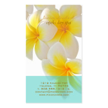 Plumeria de PixDezines Hawaï Modèles De Cartes De Visite