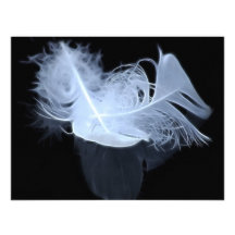 Plumes jumelles et réflexion de flamme faire-parts