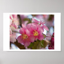 Plus de fleurs de cerisier affiches