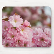 Plus de fleurs de Sakura Tapis De Souris