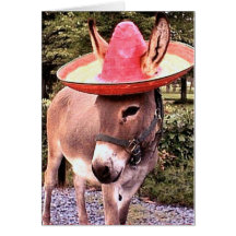 Poco Carte De Vœux