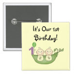 Pois de jumeaux dans un premier anniversaire de co badge avec épingle