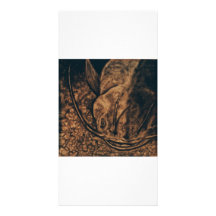 Poisson-chat Photocarte Customisée