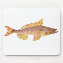 Poissons - Baker de sergent - purpurissatus d'Aulo Tapis De Souris