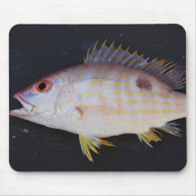 Poissons de cordelette de ruelle tapis de souris