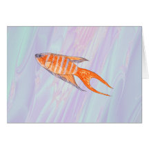 Poissons de paradis cartes de vœux