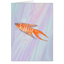 Poissons de paradis cartes de vœux