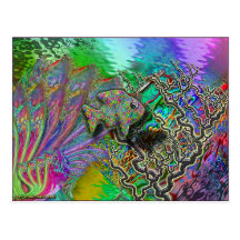 poissons-yinyang carte postale