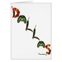 Poivrons de piment de Dallas Cartes De Vœux