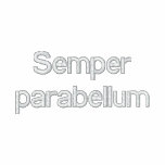 Polo semper parabellum