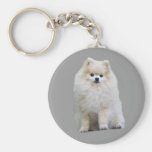 Pomeranian Keychain Porte-clefs