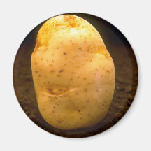 Pomme de terre sur la saleté aimant