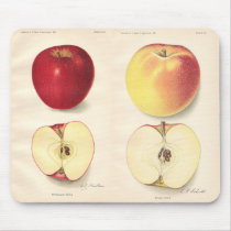 Pommes vintages Mousepad