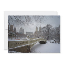 Pont d'arc de Central Park, mariage de New York Ci