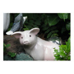 Porc de porcelaine cartes de visite professionnelles