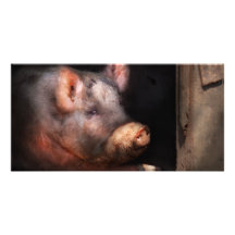 Porc - nombre porcin deux photocarte customisée