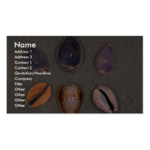 Porceleinslakken Shell Visitekaartjes Sjabloon