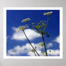 Portée pour le ciel posters