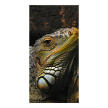 Portrait d'un iguane cartes de vœux avec photo