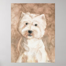 Portrait d'un Westie Affiches