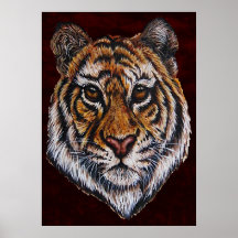 portraite 1 de tigre posters