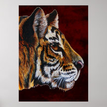 portraite 2 de tigre affiche