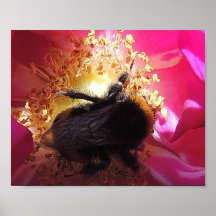 Poster " Bourdon "