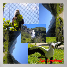 poster nature