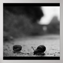 Poster-natuur-kunst van regen-48