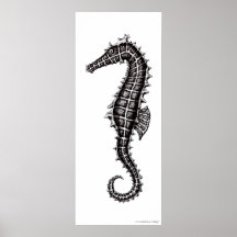 Poster van de de tekeningskunst van Seahorse het z
